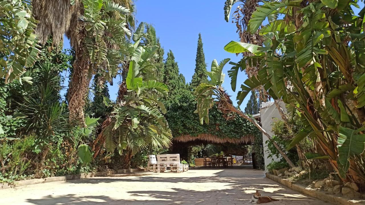 Bakit House - Casa Rural Con Piscina アギラス エクステリア 写真